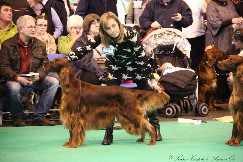 Crufts2011_2 075.jpg